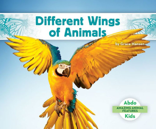 Different Wings Of Animals (Amazing Animal Features)