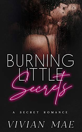 Burning Little Secrets: A Secret Romance