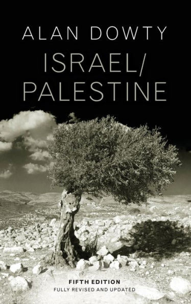 Israel / Palestine (Hot Spots In Global Politics Series)