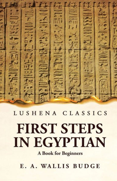 First Steps In Egyptian A Book For Beginners