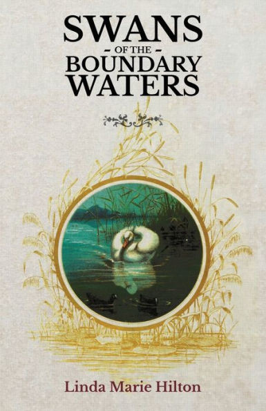 Swans Of The Boundary Waters