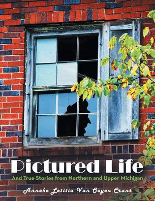 Pictured Life: And True Stories From Northern And Upper Michigan