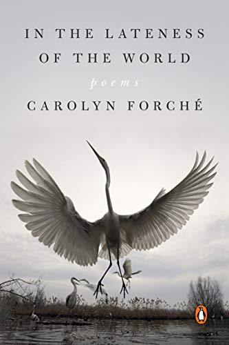 In the Lateness of the World: Poems