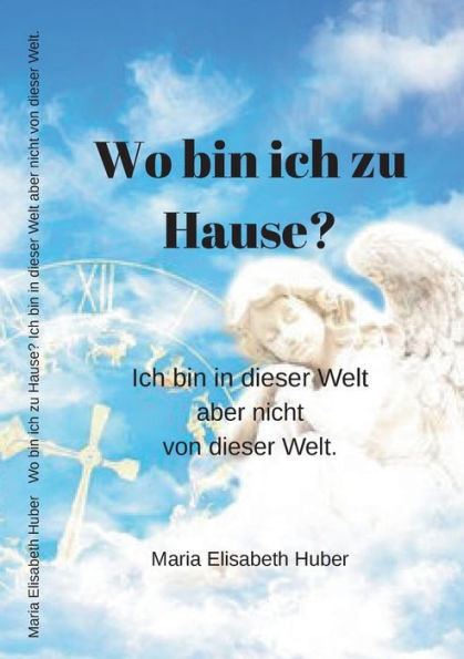 Wo Bin Ich Zu Hause?: Ich Bin In Dieser Welt Aber Nicht Von Dieser Welt. (German Edition)