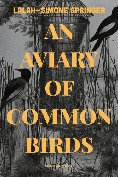 An Aviary Of Common Birds