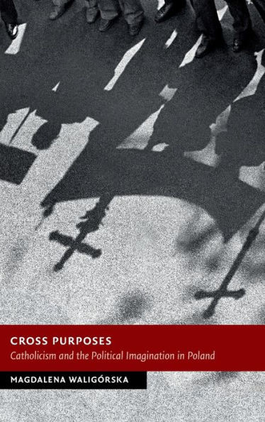 Cross Purposes: Catholicism and the Political Imagination in Poland (New Studies in European History)