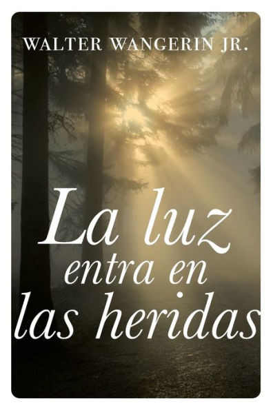 luz entra en las heridas