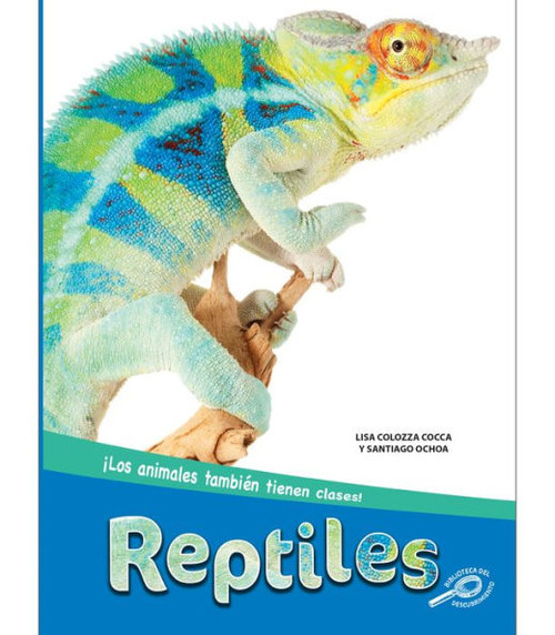 Rourke Educational Media Reptiles (Reptiles), Guided Reading Level O Reader (Los animales tambiEn tienen clases) (Spanish Edition)