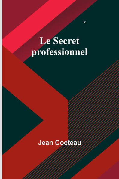 Le Secret Professionnel (French Edition)
