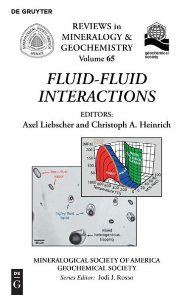 Fluid-Fluid Interactions (Reviews In Mineralogy And Geochemistry) (Reviews In Mineralogy & Geochemistry)