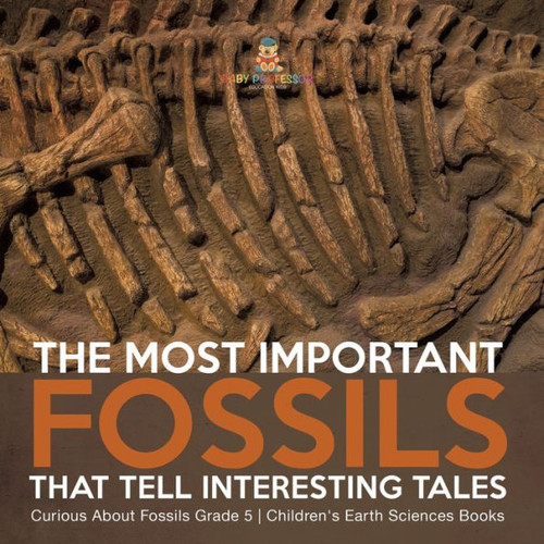 The Most Important Fossils That Tell Interesting Tales Curious About Fossils Grade 5 Children's Earth Sciences Books