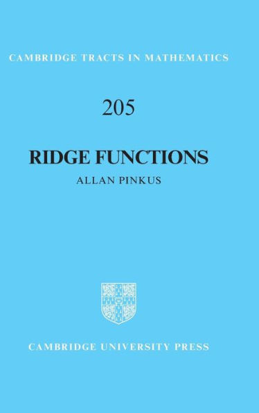 Ridge Functions (Cambridge Tracts In Mathematics, Series Number 205)