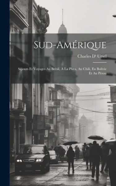 Sud-Amérique: Séjours Et Voyages Au Brésil, À La Plata, Au Chili, En Bolivie Et Au Pérou (French Edition)