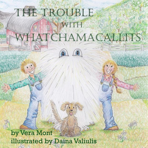 The Trouble With Whatchamacallits