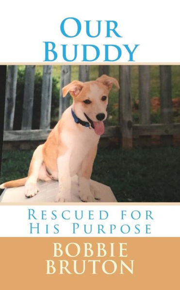 Our Buddy: Rescued For His Purpose