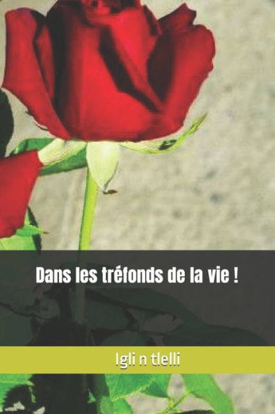 Dans Les Tréfonds De La Vie ! (French Edition)