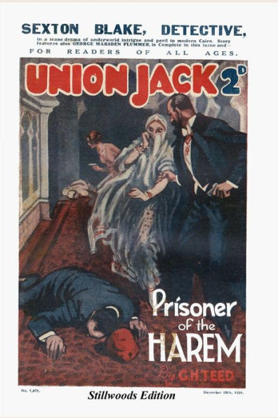 Prisoner Of The Harem