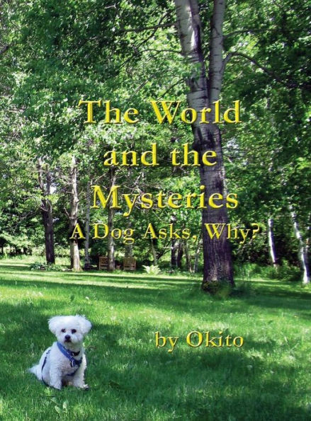 The World And The Mysteries: A Dog Asks, Why?