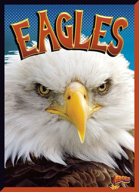 Eagles (Birds Of Prey)