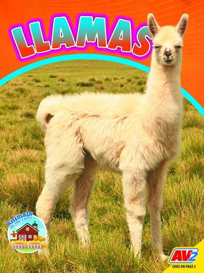Llamas (Animals On The Farm)
