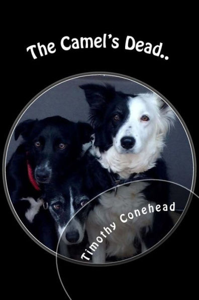 The Camel's Dead.: My Name Is Timothy Conehead The Invincible And I'M A Border Collie.