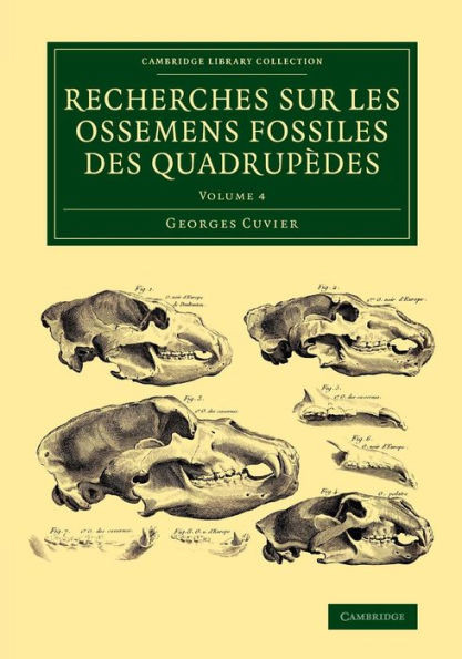 Recherches Sur Les Ossemens Fossiles Des Quadrupèdes (Cambridge Library Collection - Earth Science) (Volume 4)