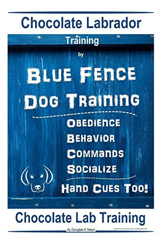 Chocolate Labrador Training By Blue Fence Dog Training, Obedience – Commands, Behavior – Socialize, Hand Cues Too! Chocolate Lab Training