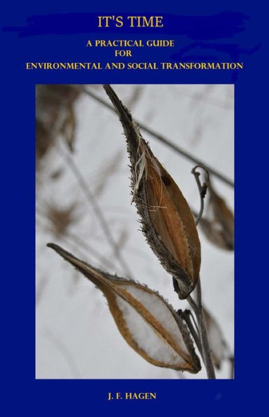 It's Time: A Practical Guide For Environmental And Social Transformation