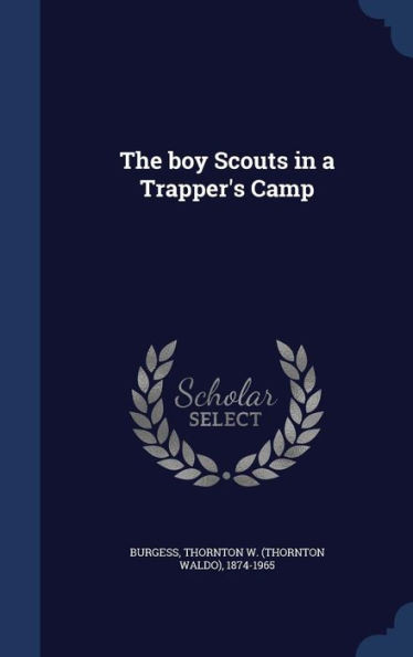 The Boy Scouts In A Trapper's Camp