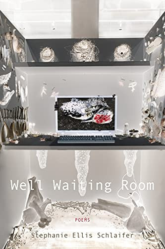 Well Waiting Room (Poets Out Loud)