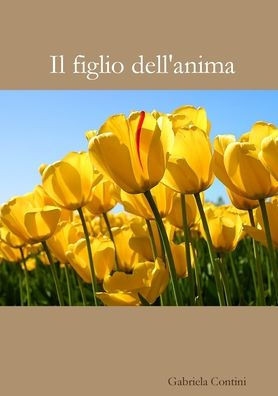 Il Figlio Dell'Anima (Italian Edition)