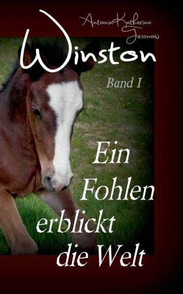 Winston - Ein Fohlen Erblickt Die Welt: Pferdebuchserie In Drei Bänden (German Edition)
