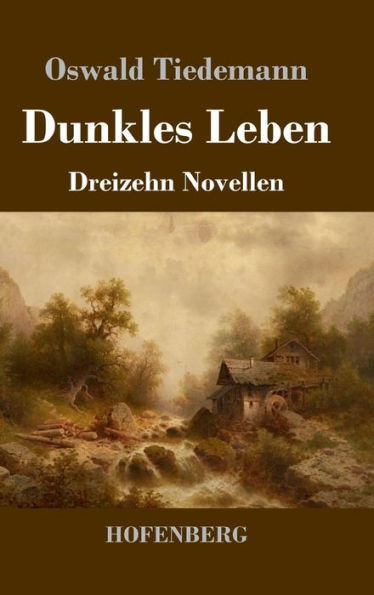 Dunkles Leben: Dreizehn Novellen (German Edition)
