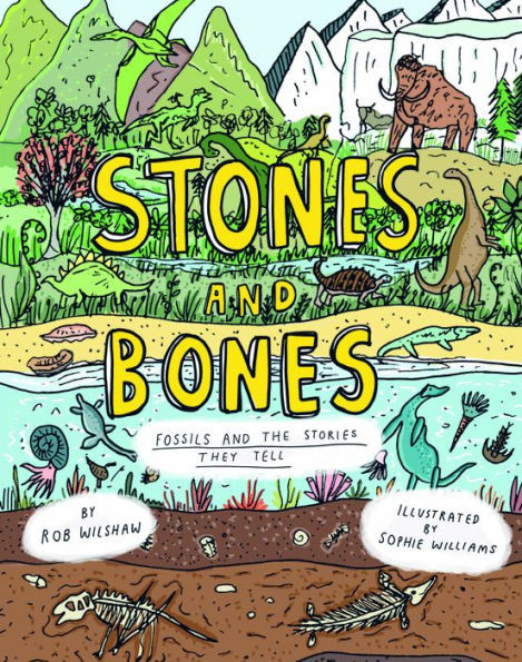 Stones and Bones : Fossils and the Stories They Tell