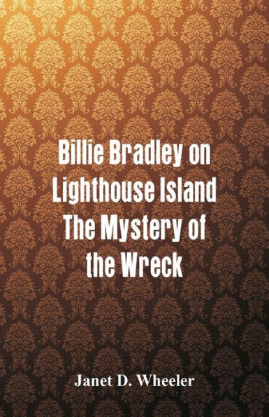 Billie Bradley on Lighthouse Island : The Mystery of the Wreck