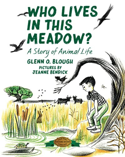 Who Lives In This Meadow?