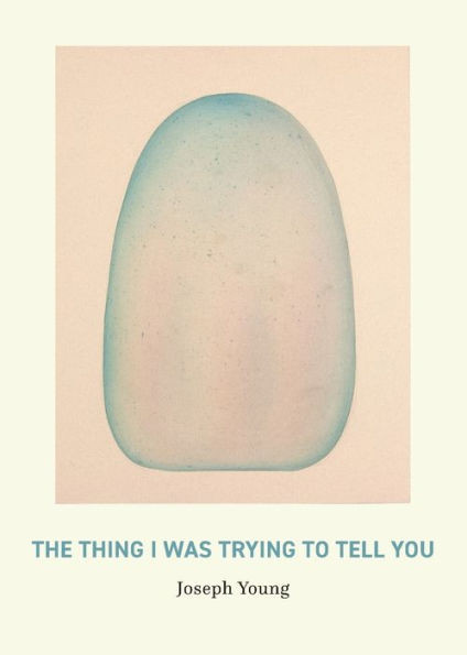 The Thing I Was Trying to Tell You