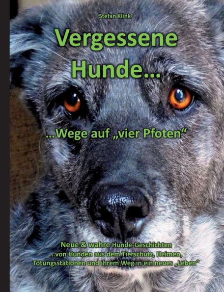 Vergessene Hunde : ...Wege auf "vier Pfoten"