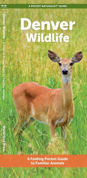 Denver Wildlife : A Folding Pocket Guide to Familiar Animals