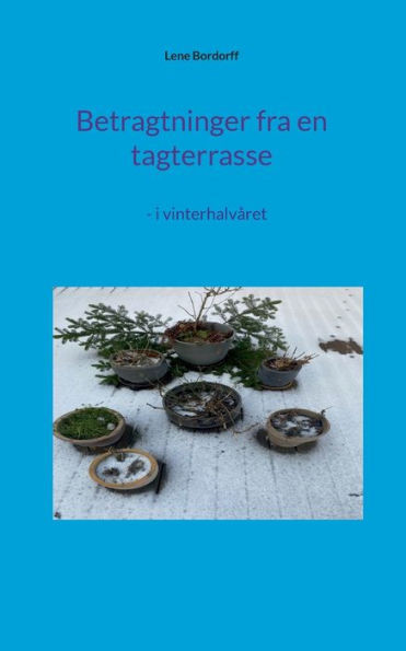 Betragtninger fra en tagterrasse : - i vinterhalvåret