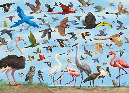 All The Birds 1000 Piece Jigsaw Puzzle