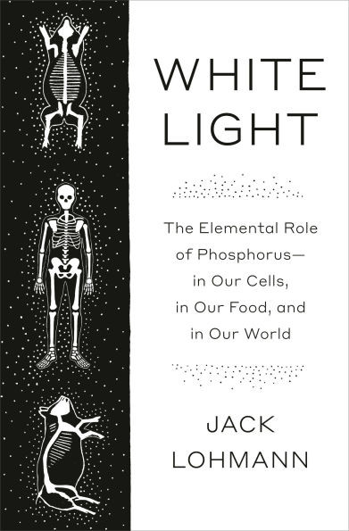 White Light: The Elemental Role of Phosphorus-In Our Cells, in Our Food, and in Our World