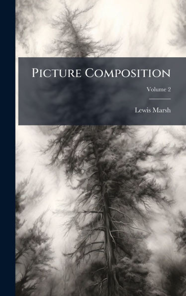 Picture Composition - (Hardback or Cased Book)