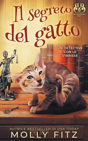 Il segreto del gatto
