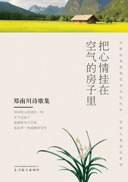 把心情挂在空气的房子里: 郑南川诗歌集
