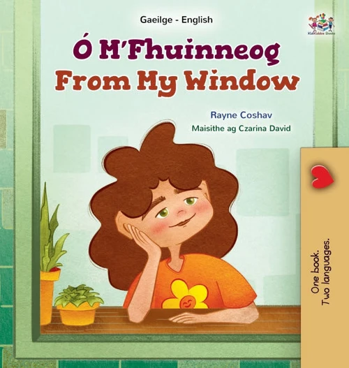 From My Window (Irish English Bilingual Kids Book) - (Hardback or Cased Book)
