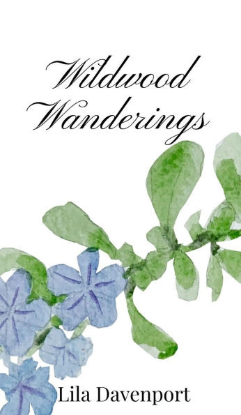 Wildwood Wanderings - (Hardback or Cased Book)