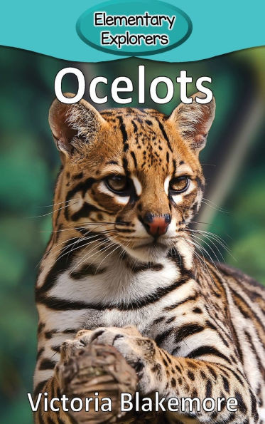 Ocelots - (Hardback or Cased Book)