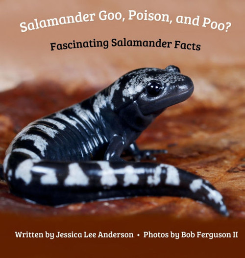 Salamander Goo, Poison, and Poo? Fascinating Salamander Facts - (Hardback or Cased Book)