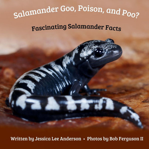 Salamander Goo, Poison, and Poo? Fascinating Salamander Facts - (Paperback or Softback)